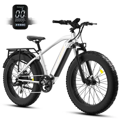 Zdjęcie produktu dla 26 * 4,0 cala Fatbike, miejski rower elektryczny dla mężczyzn 250 W 70 Nm z wymiennym akumulatorem 48 V 13,5 Ah, podwójnymi hamulcami olejowymi, 7-biegową skrzynią biegów, 25 km/h