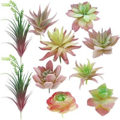 Produktbild von 10 künstliche rosa, unbedeckte, künstliche blühende Sukkulenten, gemischte künstliche Sukkulenten zur Innendekoration in einem Feengarten.