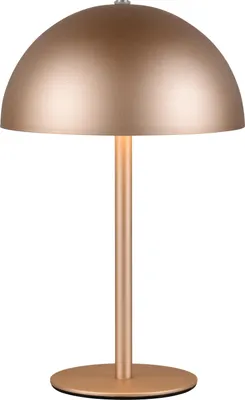 Productafbeelding van REALITY LED-tafellamp MUNOZ, R54891165, 1,3W, 120lm, 3000K, kleur: koffie