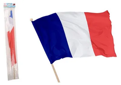 Image de Flypop's Drapeau francais 45 cm - MGM