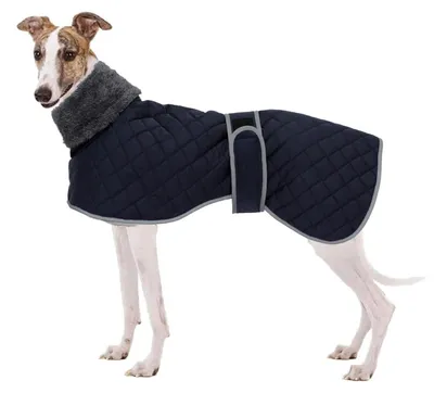Immagine prodotto di Cappotto per cani, inverno, caldo, in pile, colore blu, taglia M