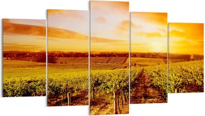 Produktbild von Bild auf Leinwand - Leinwandbild - Weinberg Aussicht Landschaft - 160x85cm - Wand Bild - Wanddeko - Leinwanddruck - Bilder - Kunstdruck - Wanddekoration - Leinwand bilder - Wandkunst - EA160x85-0170