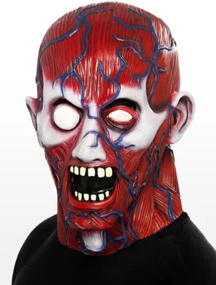 Produktbild von Anatomiemaske für Herren Gruselmaske Anatomie Herrenmaske Horror Halloween Maske