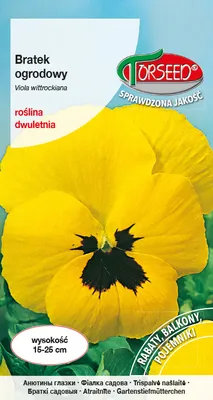 Zdjęcie produktu dla Nasiona Bratek wielkokwiatowy złotożółty 0,5g - Torseed