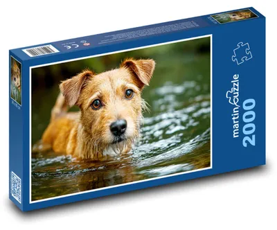 Produktbild von Puzzle 2000 Hund im Wasser - martinpuzzle