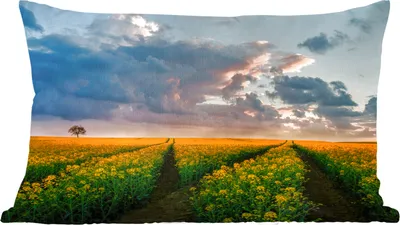 Produktbild von MuchoWow® Zierkissen Sofakissen Wohnzimmer Dekokissen 50x30 cm Blumen - Gelb - Sonnenuntergang - Wohnzimmerdekoration - Polster mit Photo