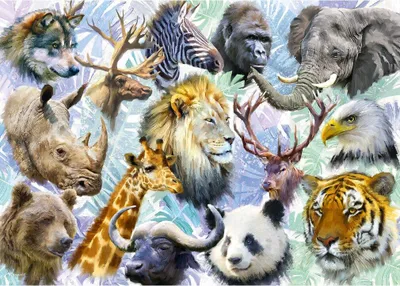 Image de ALIPSON Puzzle Têtes d'animaux 500 pièces