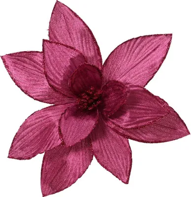 Productafbeelding van Poinsettia fluwl d30h15 cm groentappl Everlands