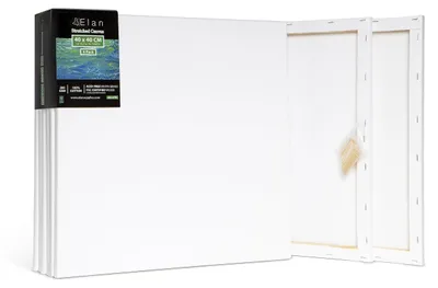 Obrázek produktu pro Sada 6 pláten o rozměrech 40x40 cm, napnutých na rám