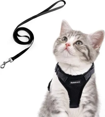 Produktbild von Katzenleine für kleine Hunde, verstellbar, für Kätzchen, Schwarz