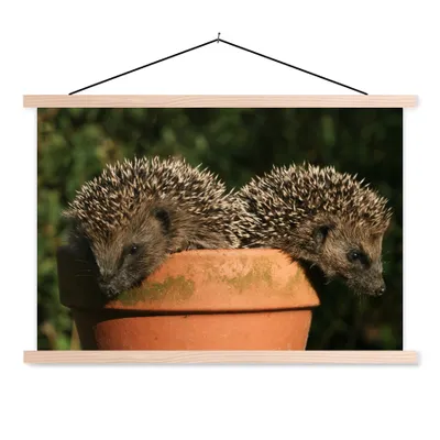 Produktbild von MuchoWow® Textilposter Zwei Igel auf einem Topf 60x40 cm mit holzfarbenen Rahmen - Bilder