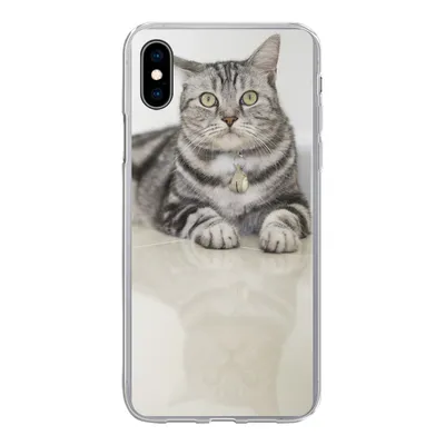 Produktbild von MuchoWow® Handyhülle Schutzhülle Hülle für iPhone Xs Katze - Grau - Tier - Mädchen - Kinder - Jungen - Kind Silikon Softcase Handy Hülle - Handytasche