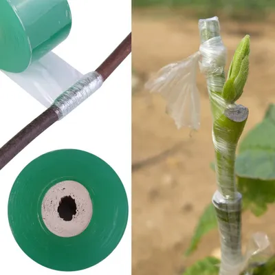 Produktbild von Veredelungsband, Grün, 2,5 cm x 100 m, selbstklebend und dehnbar, für Pflanzen