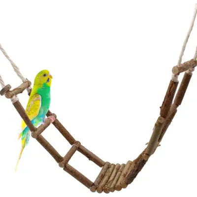 Vogelleiter aus Naturholz, 80 cm, für Wellensittiche und mehr