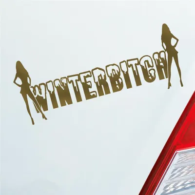 Produktbild von Auto Aufkleber Winterbitch Winter Bitch Schnee Tuning 15x6 cm Gold Sticker Heckscheibenaufkleber