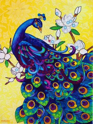 Produktbild von Malen nach Zahlen 5d Diamond Painting Pfau Vogel Malen nach Zahlen 15x20cm