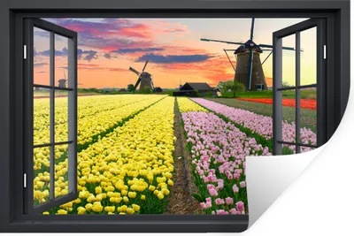 Produktbild von MuchoWow® - Selbstklebend - Fototapeten