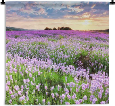 Produktbild von MuchoWow® Wandteppich Wandbehang Blumen - Lavendel - Lila - Himmel - Sonnenuntergang - Wiese - Natur 90x90 cm Tapisserie Dekoration Wandtuch - Wandaufhänger