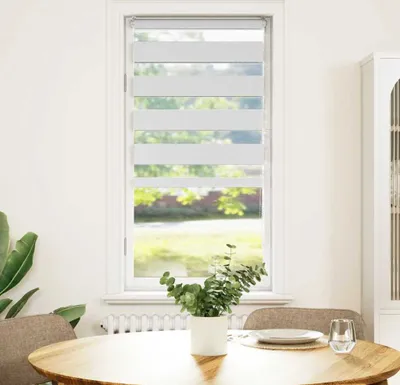 Image de Maison Exclusive - Store double blanc 55 x 150 cm Largeur du tissu 50,9 cm Polyester