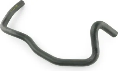 Produktbild von FAST Kühlerschlauch Wasserschlauch für RENAULT CLIO II (BB0/1/2, CB0/1/2) FT61680