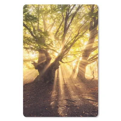Produktbild von MuchoWow® Mauspad Mousepad Baum - Wald - Sonne 40x60 cm - Mousepads - Maus Mat - Pad - Mausunterlage - Schreibtisch Accesoire