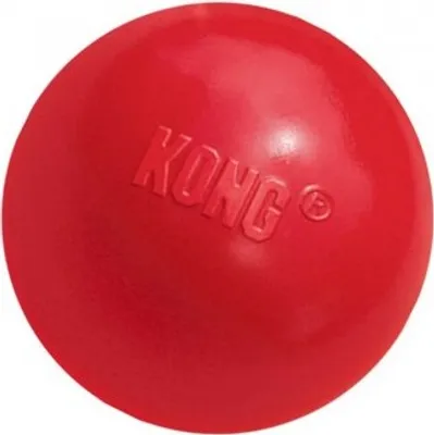 Produktbild von KONG Hundespielzeug KONG Ball S