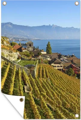 Produktbild von MuchoWow® 80x120 cm Outdoor-Poster Gartendeko Sichtschutz Garten Poster für den Garten  Foto von einem Weinberg über dem Genfer See