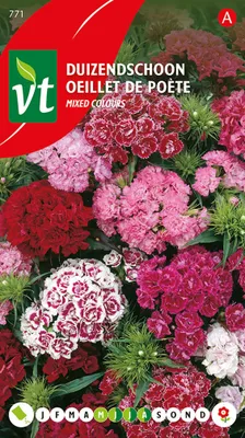 Produktbild von Doppelte Dichternelke Samen - Ca. 0,75 gr | VT_771
