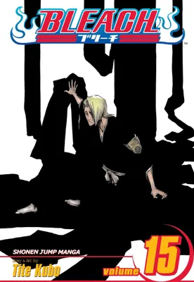 Produktbild von Bleach