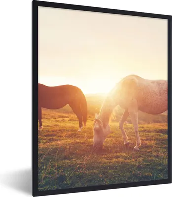 Produktbild von MuchoWow® Gerahmtes Poster Pferde - Sonne - Tiere 60x80 cm - Poster mit Schwarzem Bilderrahmen Wandposter Rahmen Foto Bilder - Premium - Wanddeko Wohnzimmer