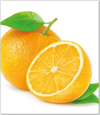 Produktbild von Wallario Herdabdeckplatte aus Glas, Größe 52 x 60 cm 1-teilig, Motiv Saftige Orangen vor weißem Hintergrund