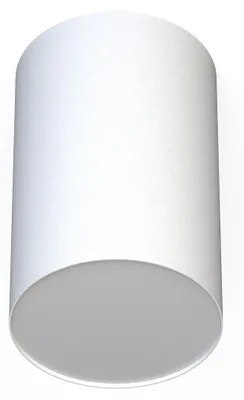 Obrázek produktu pro Stropní bodové svítidlo kovové kulaté D: 12,7 cm povrchová montáž bílá E27 moderní bodové stropní svítidlo