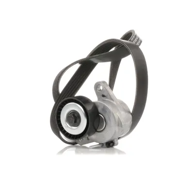 Produktbild von RIDEX 542R0122 Keilrippenriemensatz für VW Golf VII Schrägheck (5G1, BQ1, BE1, BE2)