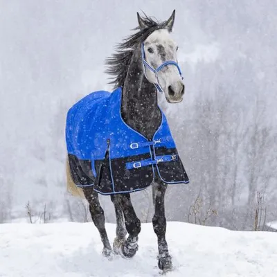 Image de Couverture Equithème Tyrex 1200D Aisance High Neck 0g - Taille 4'9