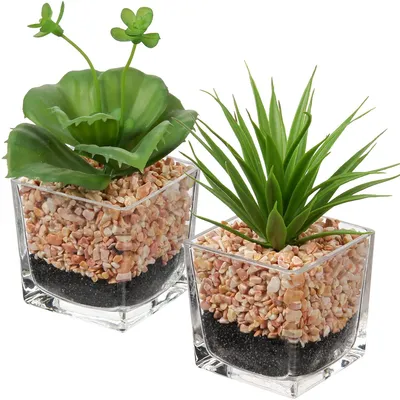 Produktbild von Künstliche Sukkulente, naturgetreu im Glastopf, dekorative Sukkulente für Wohnzimmer, Balkon, Schlafzimmer, Badezimmer oder als Tischdekoration.