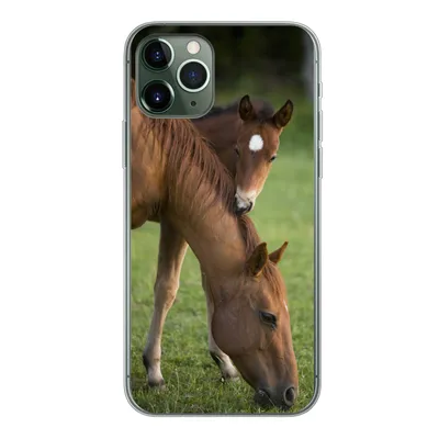 Produktbild von MuchoWow® Handyhülle Schutzhülle Hülle für iPhone 11 Pro Pferde - Gras - Porträt Silikon Softcase Handy Hülle - Handy