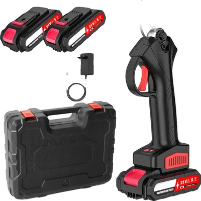 Immagine prodotto di Tagliasfrutta elettrico a batteria, motore potente, design ergonomico, 2 batterie
