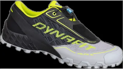 Produktbild von Trailrunning-Schuh Feline SL Herren - Dynafit, Größe:7,5 UK (EU 41), Farbe:0545 alloy