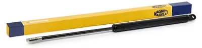Image de Ressort pneumatique, capot moteur