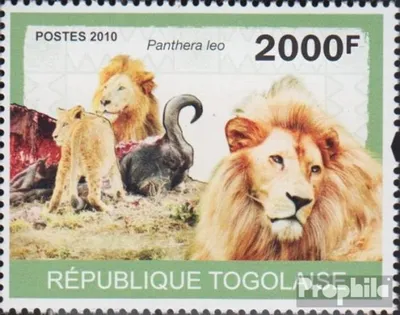 Produktbild von Briefmarken Togo 2010 Mi 3473 (kompl.Ausg.) postfrisch Löwe