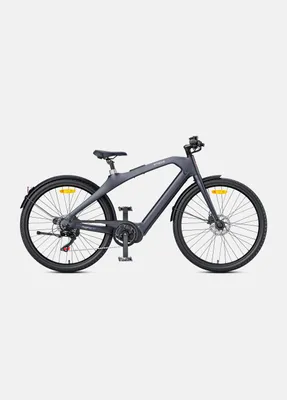 Produktbild von 250W Mid-Drive Motor, 80Nm Drehmoment Carbon Fiber City-E-Bike E-Hollandräder 2025 Grau