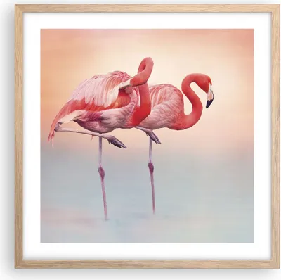 Produktbild von Gerahmtes Poster - Rahmen in heller Eiche - Flamingos Exotik Vögel - 50x50 cm - Wand Bild - Wanddeko - Wandbilder - Kunstposter - Wandposter - Bilderrahmen - Bilder - Kunstdruck - P2NAC50x50-5044