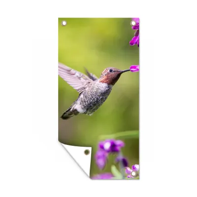 Obrázek produktu pro MuchoWow® Zahradní plakáty - Kolibřík - Pták - Květiny - Příroda - 160x80 cm - Zahradní dekorace