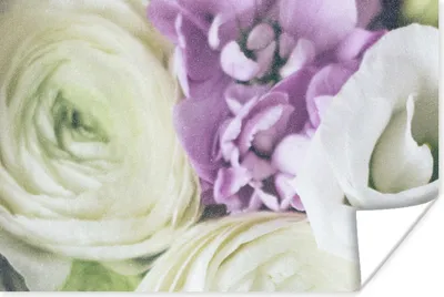 Produktbild von MuchoWow® Poster Blumen - Rosen - Natur 180x120 cm - Fotoplakat