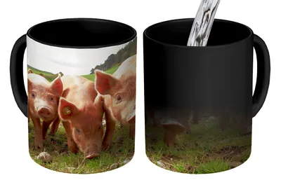 Obrázek produktu pro MuchoWow® Kouzelný pohár Prase - tráva - zvíře 350 ml Barva měnící se pohár Dárkový nápad - foto hrnek