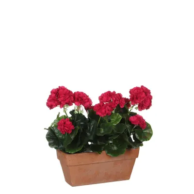 Produktbild von Mica Decorations Geranien Kunstpflanze im Balkonkasten Slate - L29 x B13 x H40 cm - Dunkelrosa