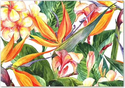 Produktbild von Tulup® Glas-Bild - 100 x 70 - Wandbild aus Glas - Wandkunst - Wandbild hinter gehärtetem Sicherheitsglas - Blumen & Pflanzen - Tropische Blumen - Orange