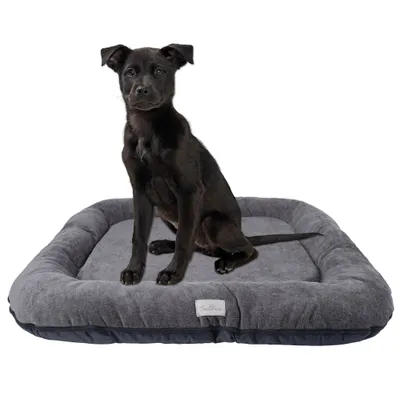 A black puppy sits on a gray dog bed against a white background.
