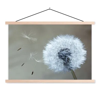 Produktbild von MuchoWow® Textilposter Löwenzahn - Blume - Pflanze 120x80 cm mit holzfarbenen Rahmen - Aufhängeset