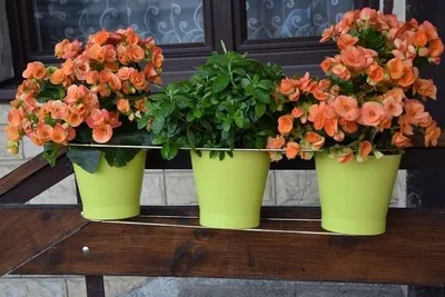 Produktbild von Jukat Balkon-Blumenkasten für 3 Pflanzen 66 cm Metall